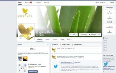 facebook business page